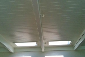ceiling-skylights ceiling-skylights