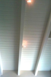 tg-ceiling2