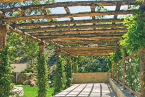 trellis